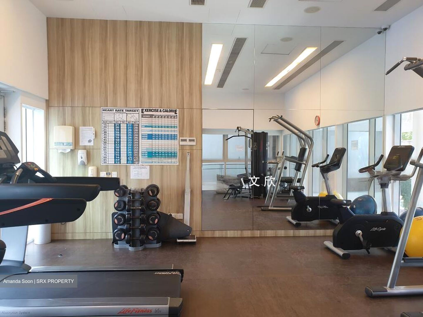Tribeca (D9), Condominium #436856381
